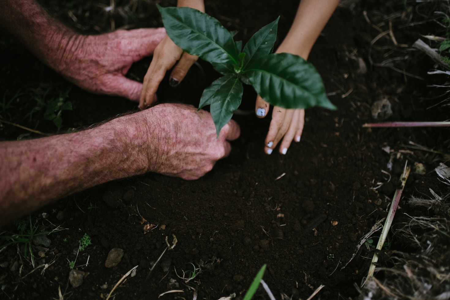 How To Become A Dedicated Local Volunteer